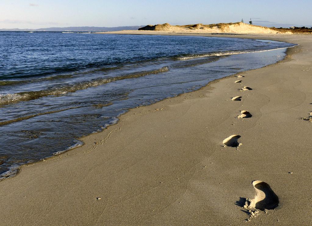 Sandee - Ruakaka Beach