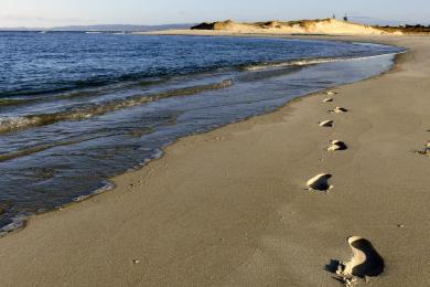 Sandee - Ruakaka Beach