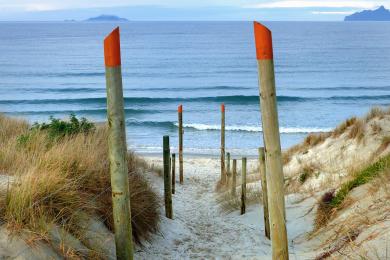 Sandee - Ruakaka Beach