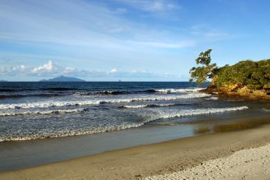 Sandee Waipu Cove Photo