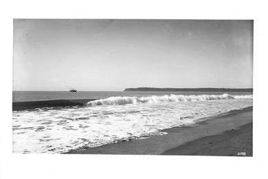 Sandee - Coronado Beach