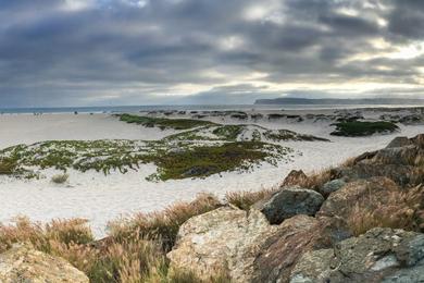 Sandee - Coronado Beach