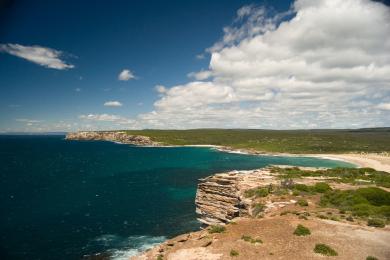 Sandee Marley Beach Photo