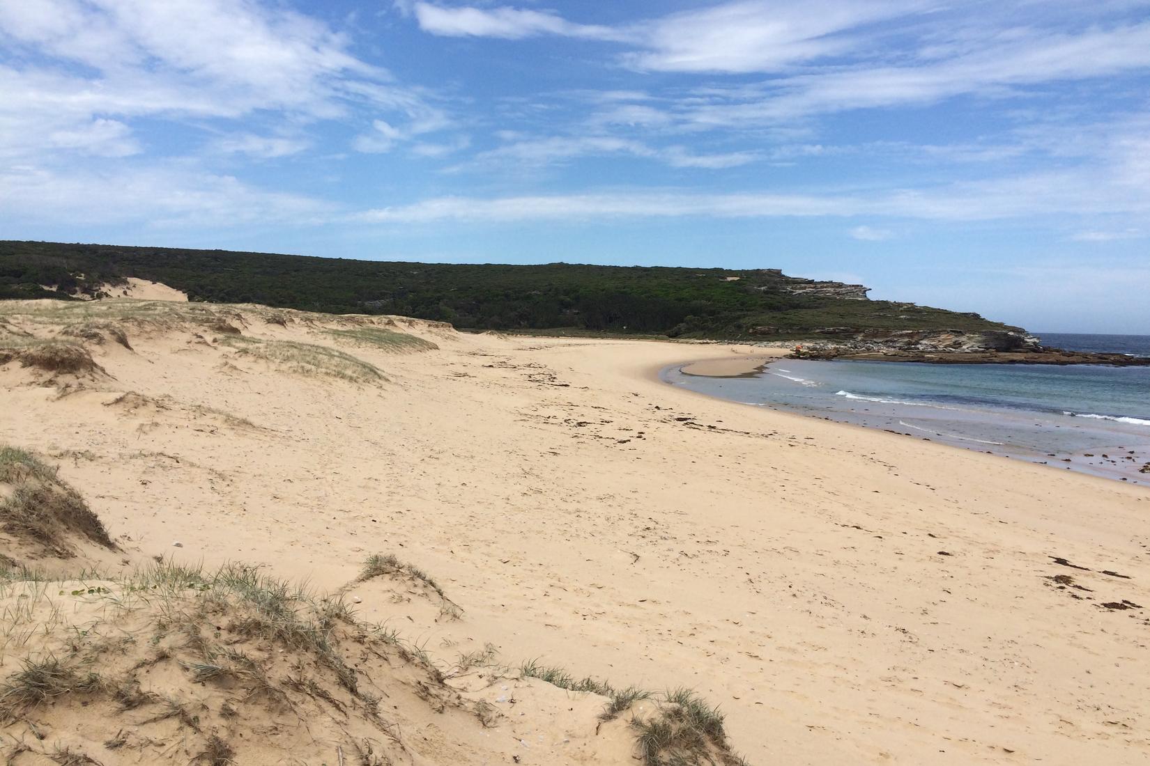 Sandee - HomePage / Royal National Park