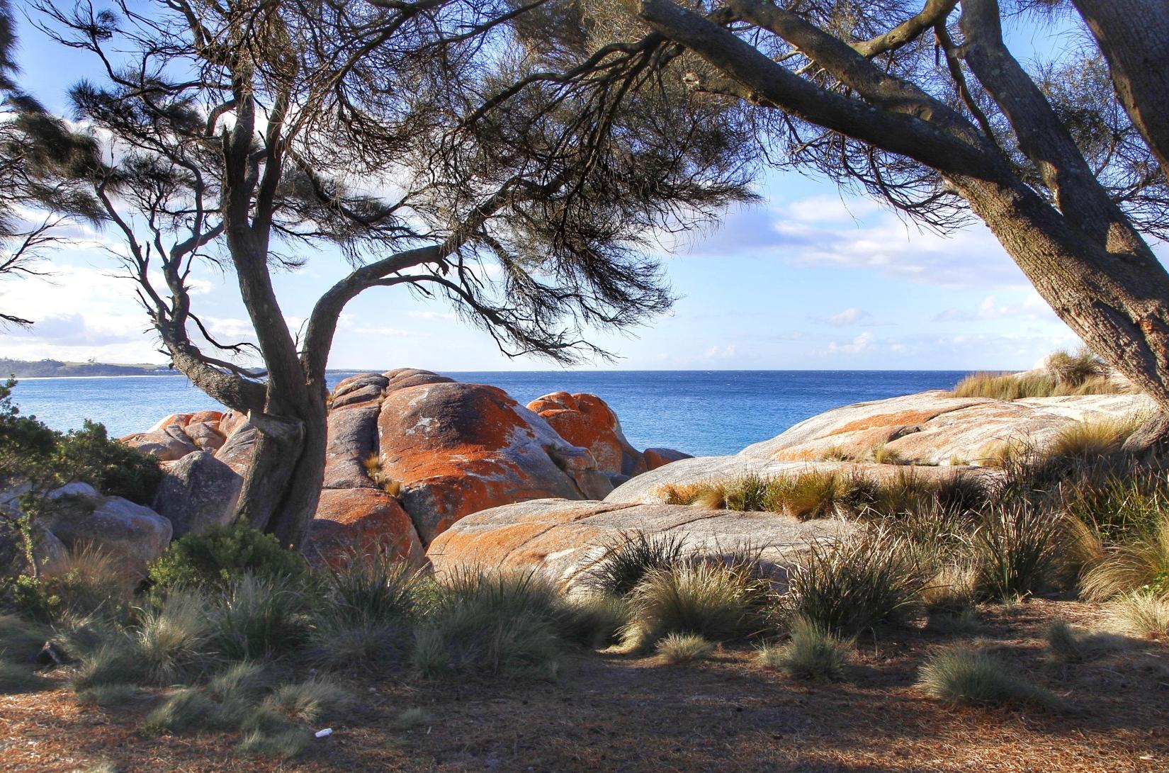 Sandee - Bay Of Fires