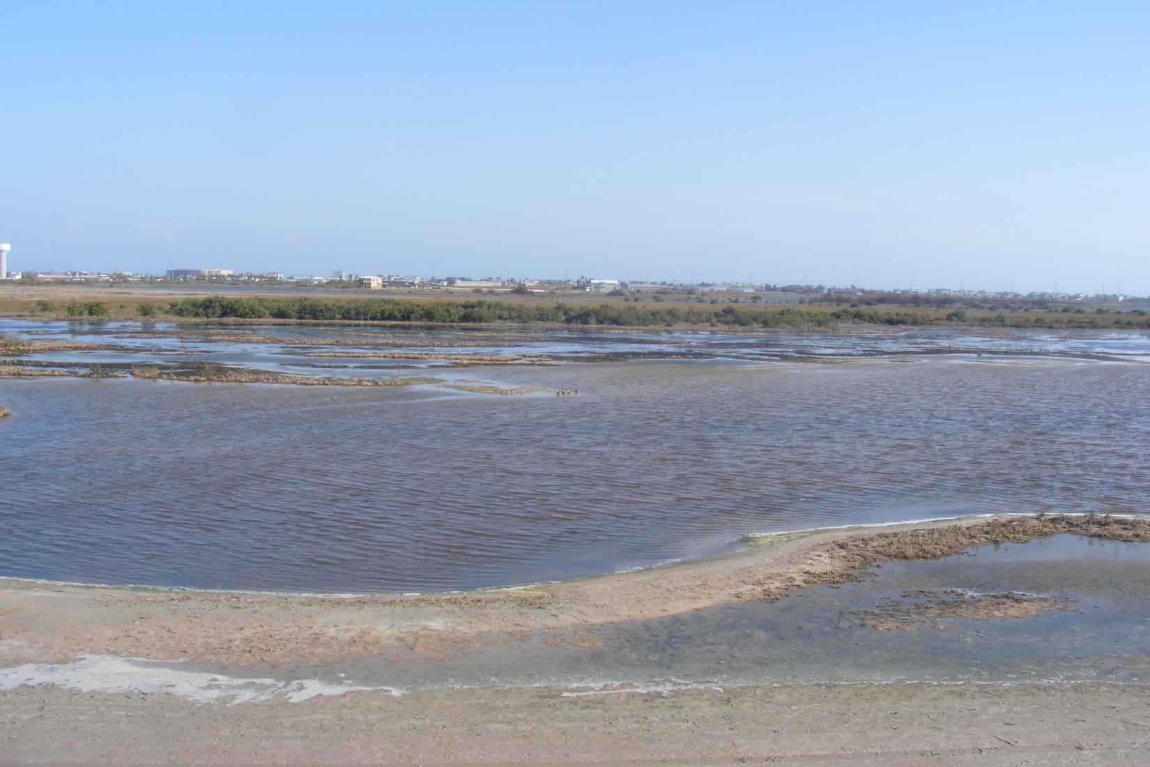 Sandee - Port Aransas Nature Preserve