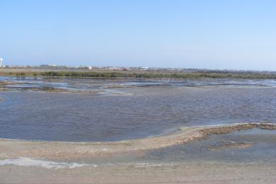 Sandee Port Aransas Nature Preserve