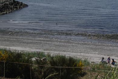 Sandee Brackett's Landing & Edmonds Underwater Park