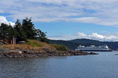 Sandee Clark Point, North Guemes Island Photo