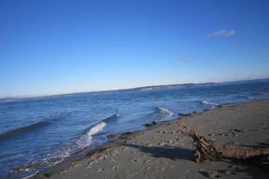 Sandee Dave Mackie Memorial County Park Photo