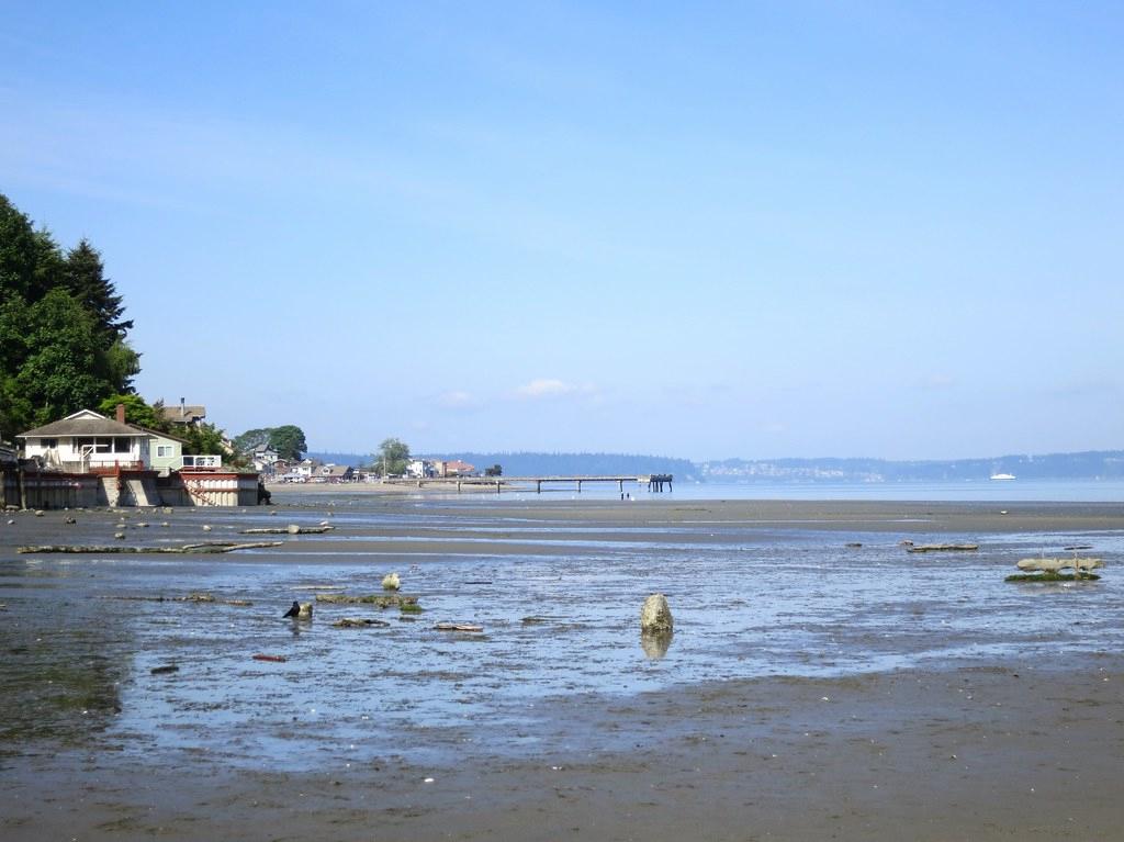 Sandee - Dash Point State Park