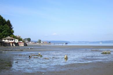 Sandee - Dash Point State Park