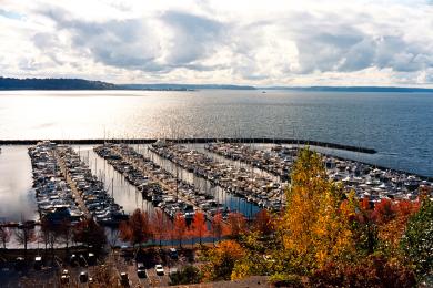 Sandee Elliot Bay Marina