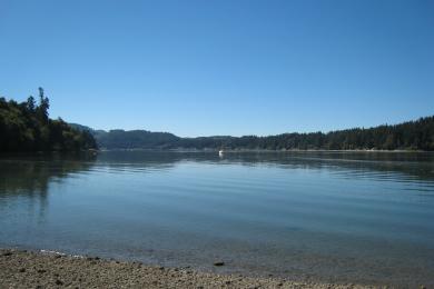 Sandee Evergreen Park Photo