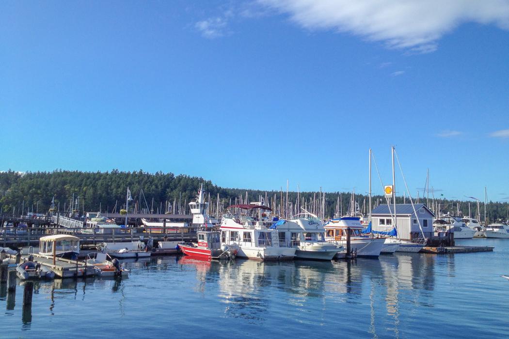 Sandee Friday Harbor Labs Photo