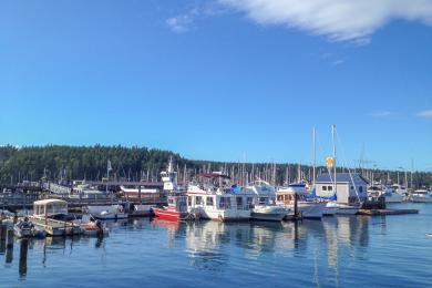 Sandee Friday Harbor Labs