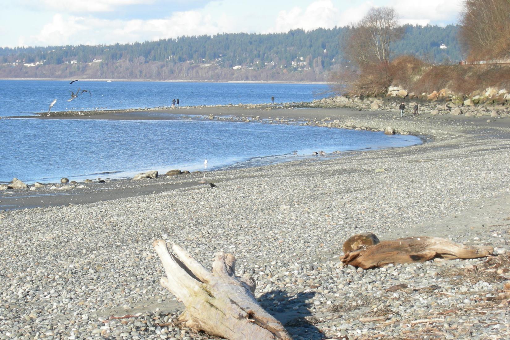 Sandee - Golden Gardens