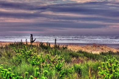 Sandee Grayland Beach State Park