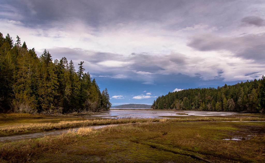 Sandee - Hood Canal Saltwater Park