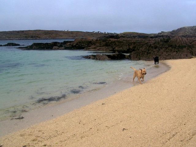 Sandee - HomePage / County Clare