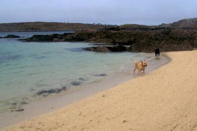 Sandee Coral Strand Photo