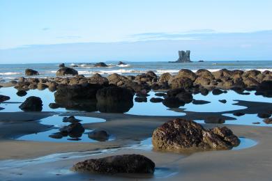 Sandee Klipsan Beach Access