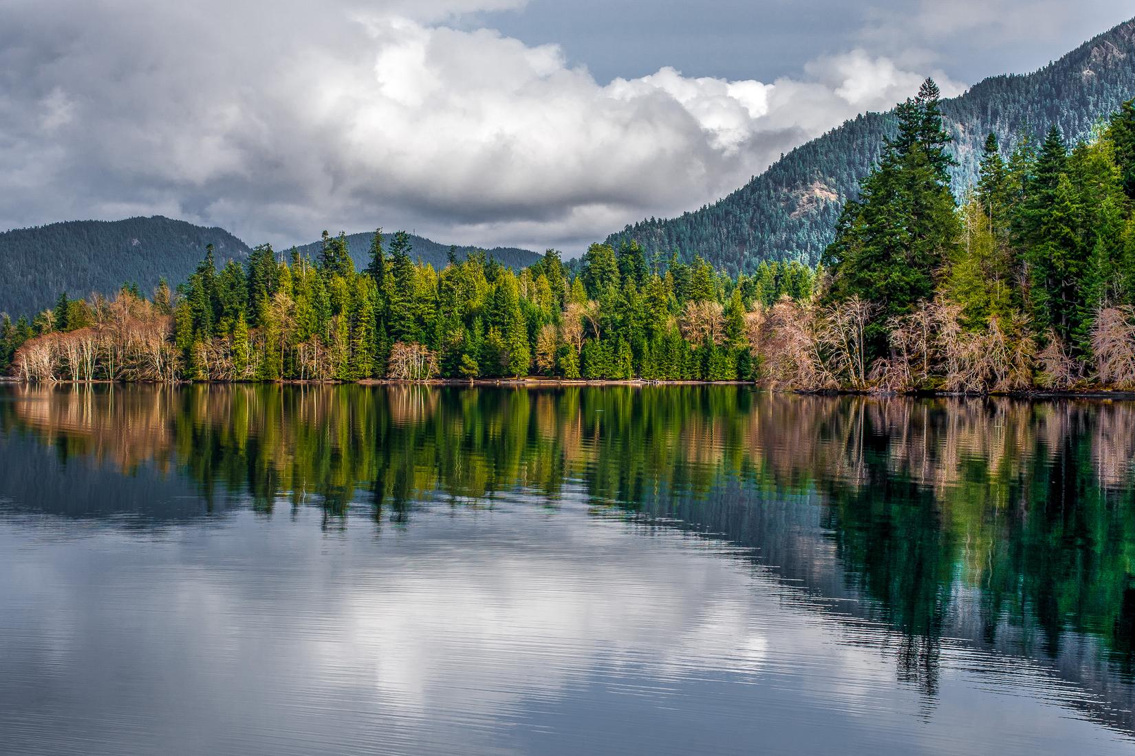 Ozette Photo - Sandee