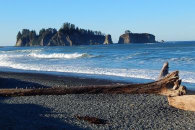 Sandee Rialto Beach Photo