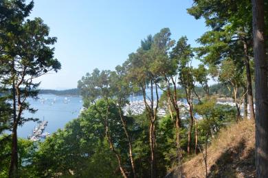 Sandee San Juan Preservation Trust, Henry Island