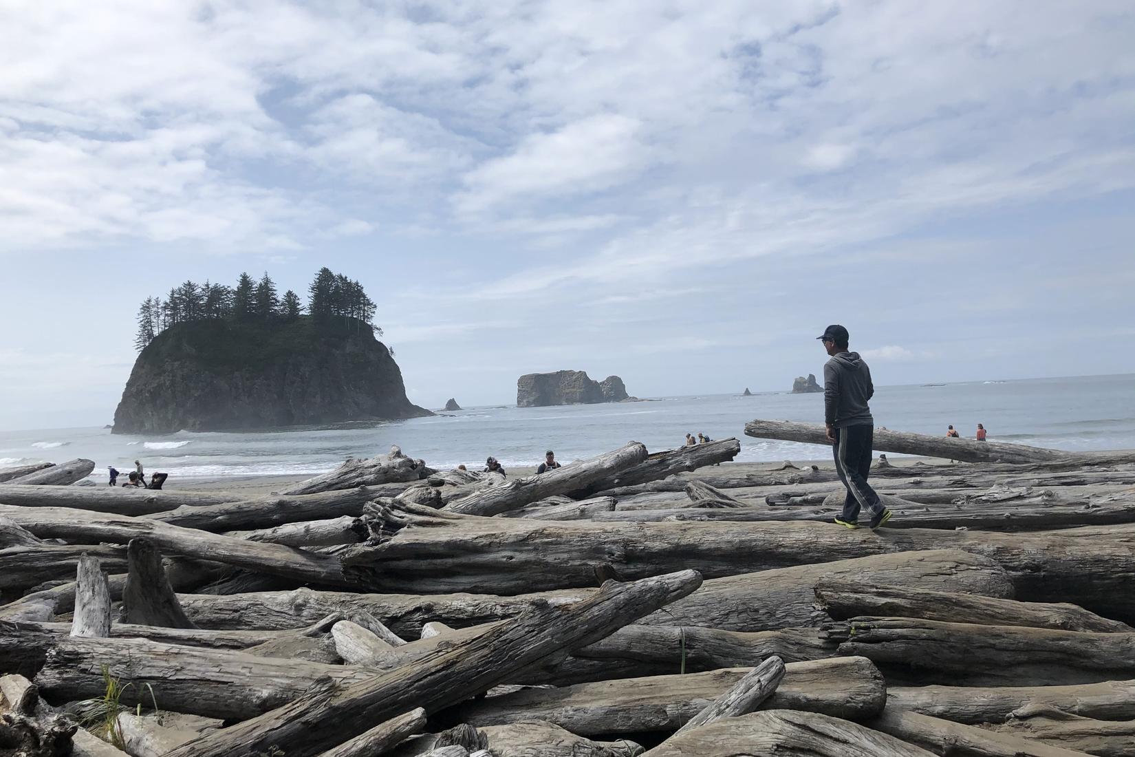 Sandee - La Push Second Beach, Olympic National Park