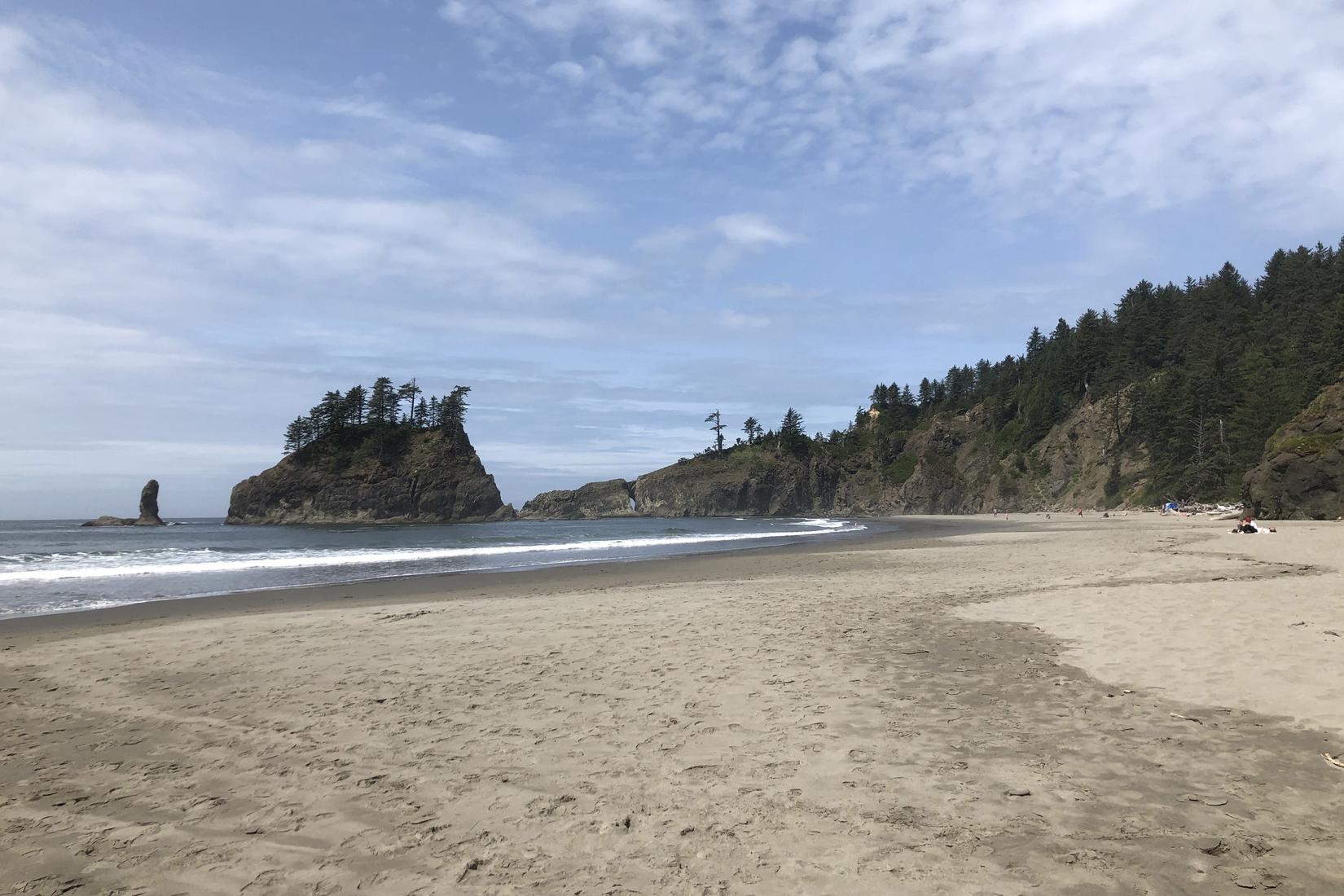 Sandee - La Push Second Beach, Olympic National Park