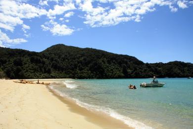 Sandee Bark Bay Beaches