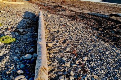 Sandee Bishop's Beach