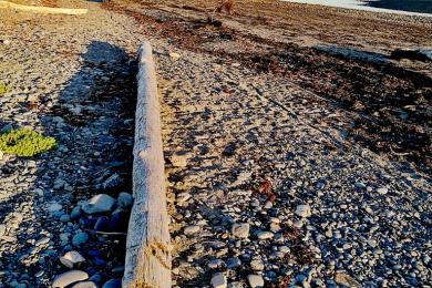 Sandee - Bishop's Beach