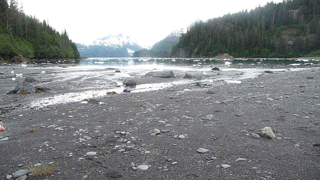 Sandee - Black Sand Beach: Barry Arm