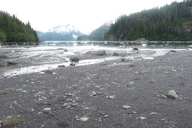 Sandee - Black Sand Beach: Barry Arm