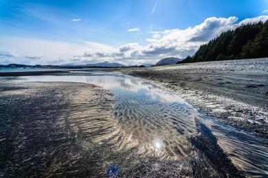 Sandee Buskin River State Recreation Beach Photo