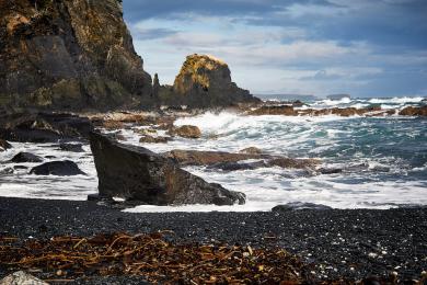 Sandee Fort Abercrombie State Park Beach