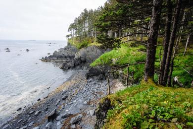 Sandee - Fort Abercrombie State Park Beach