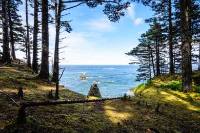 Sandee - Fort Abercrombie State Park Beach