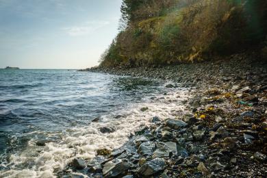 Sandee Mayflower Beach Photo