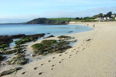 Sandee - Gyllyngvase Beach