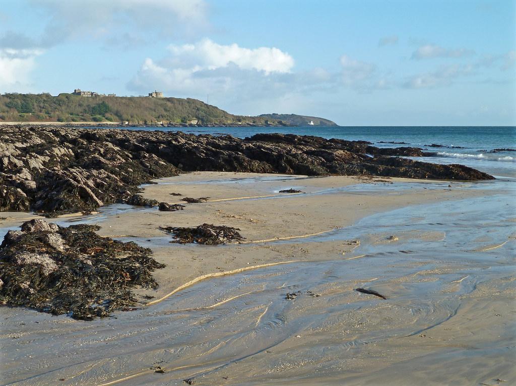 Sandee - Gyllyngvase Beach