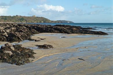 Sandee - Gyllyngvase Beach