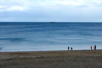 Sandee - Gyllyngvase Beach