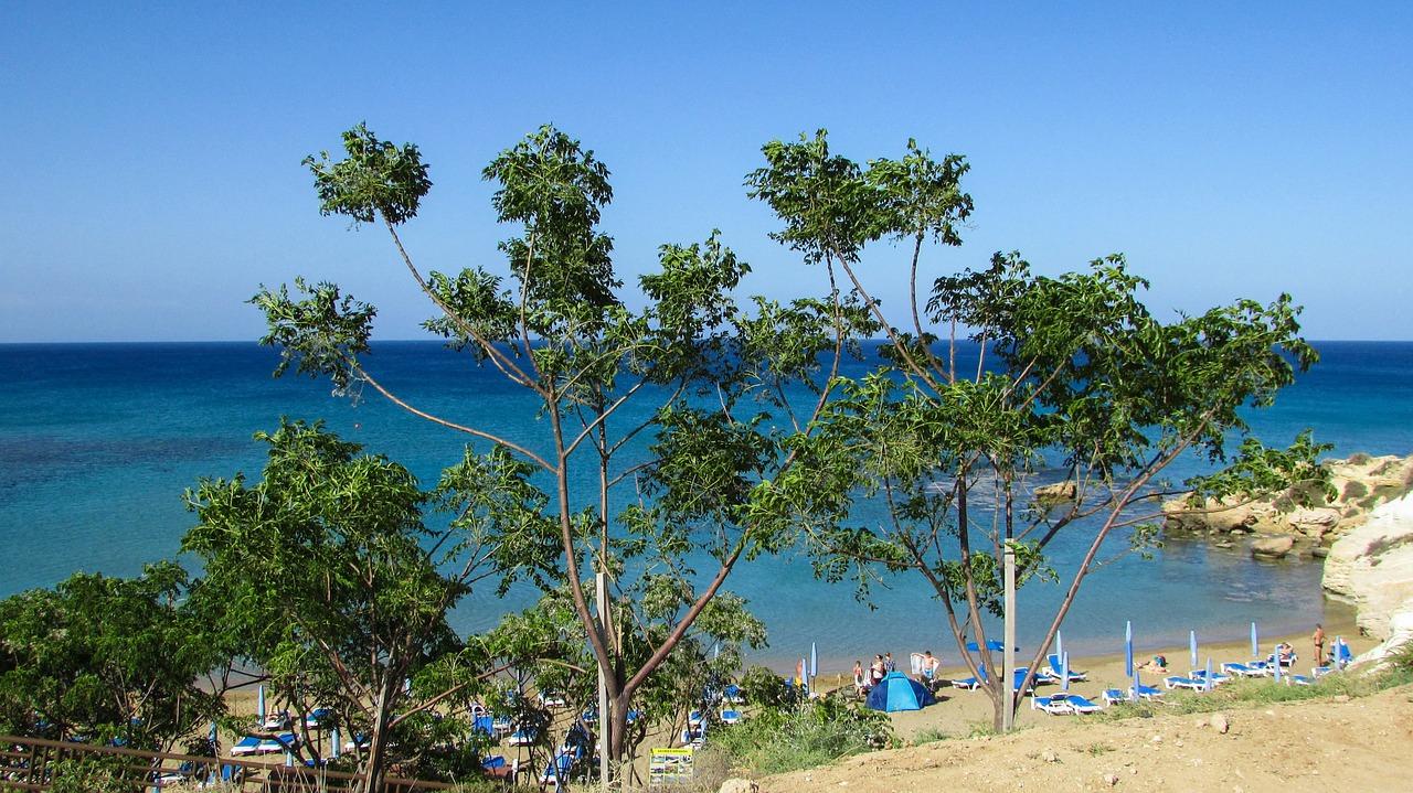 Sandee - Kapparis Beach