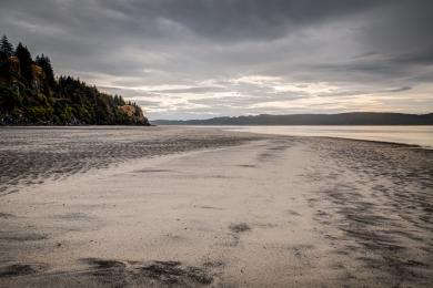 Sandee White Sands Beach