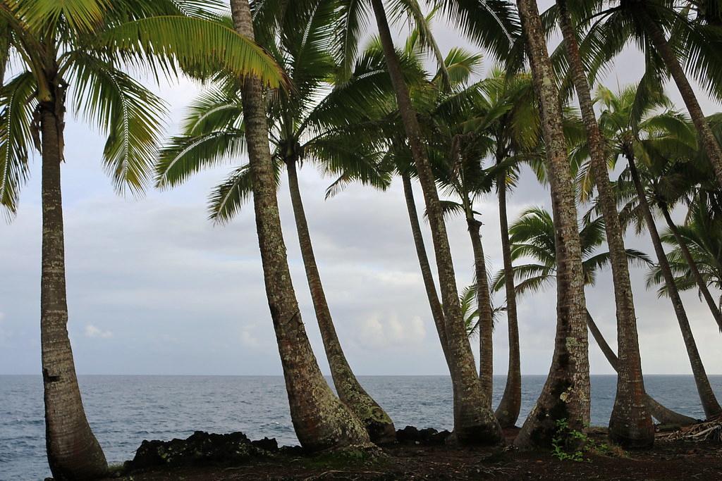 Sandee - Kalapana Beach