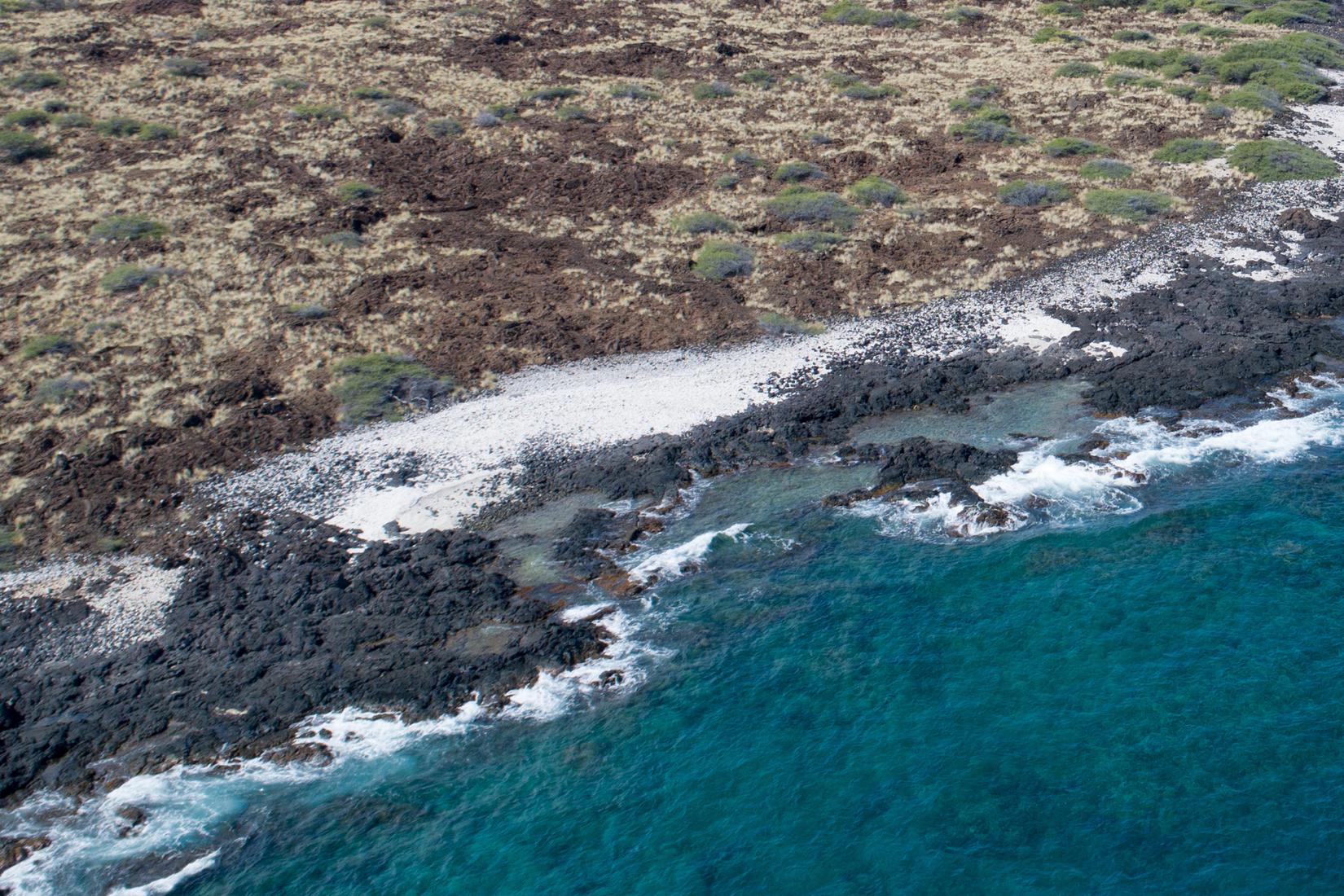 Sandee - Manini'Owali Beach