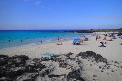 Sandee - Manini'Owali Beach